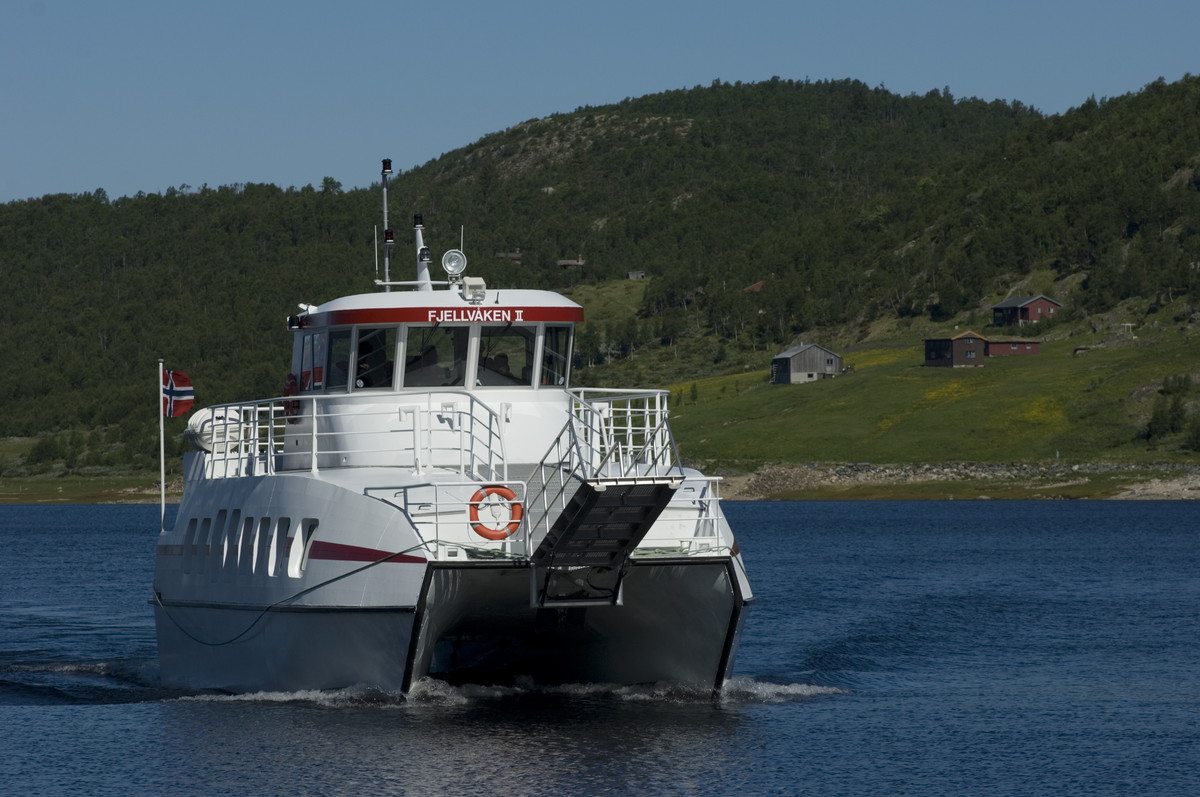 Fjellvaaken