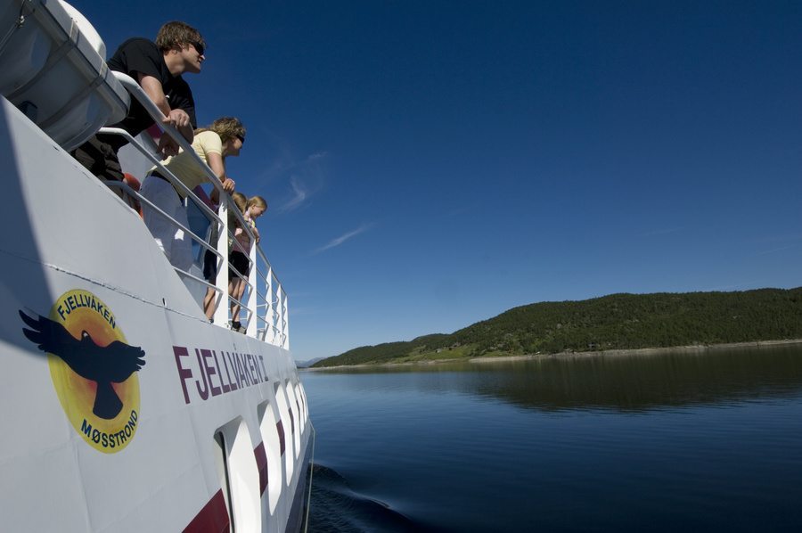 Fjellvaaken