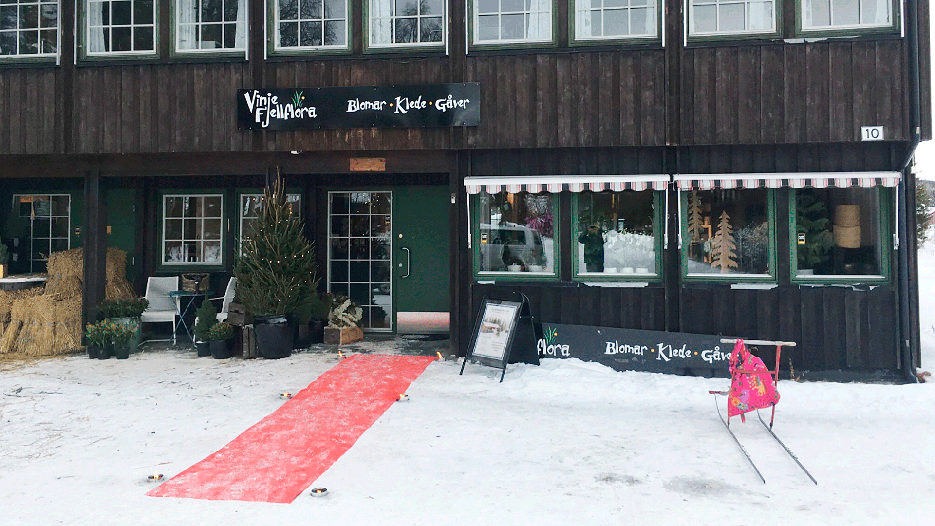 Vinje Fjellflora