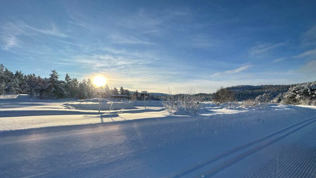 Vinterlandskap med soloppgang over snødekte trær og felt. Klar himmel og vinterstemning i Norge.