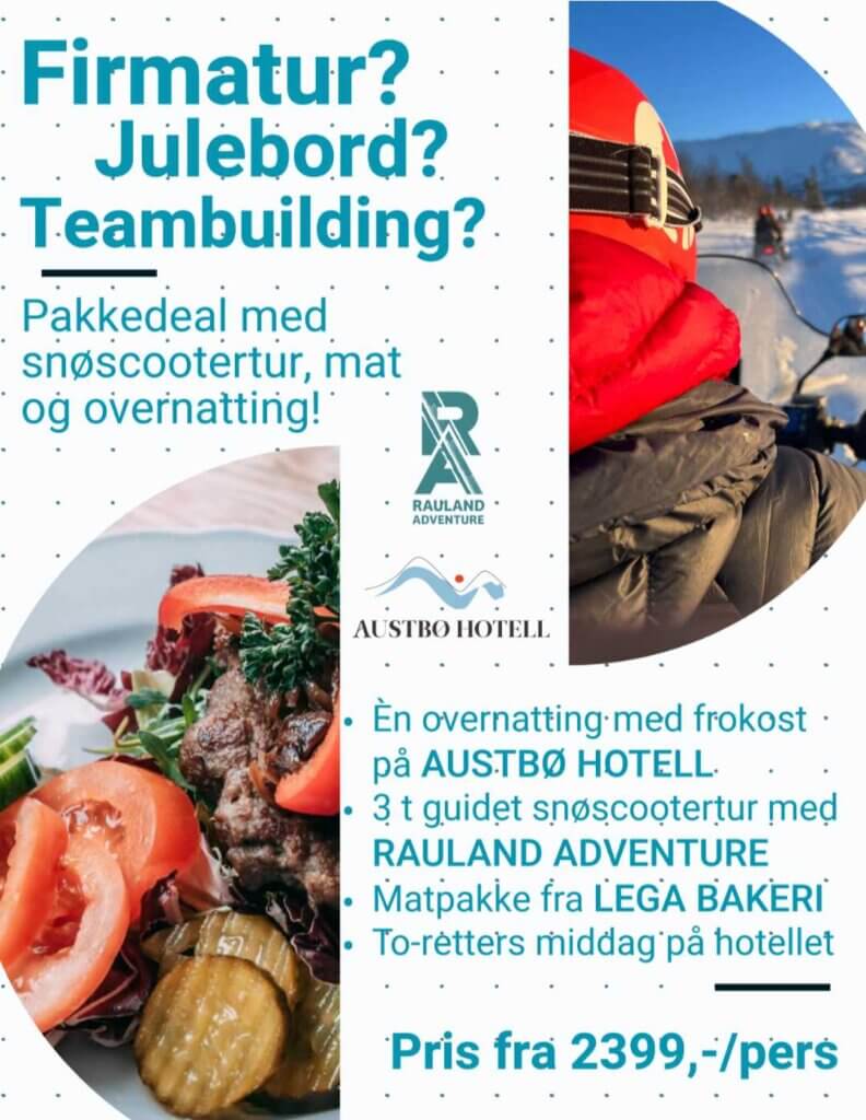 Pakkedeal: Firmatur med snøscootertur, middag og hotellovernatting. Opplev teambuilding i vakker vinternatur.