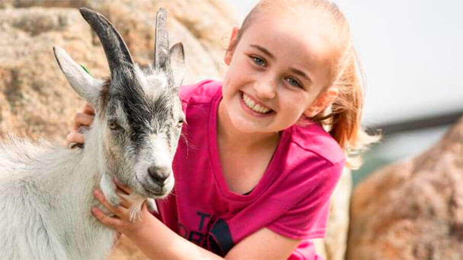 Jente i rosa t-skjorte smiler ved siden av geit på steinete bakgrunn.