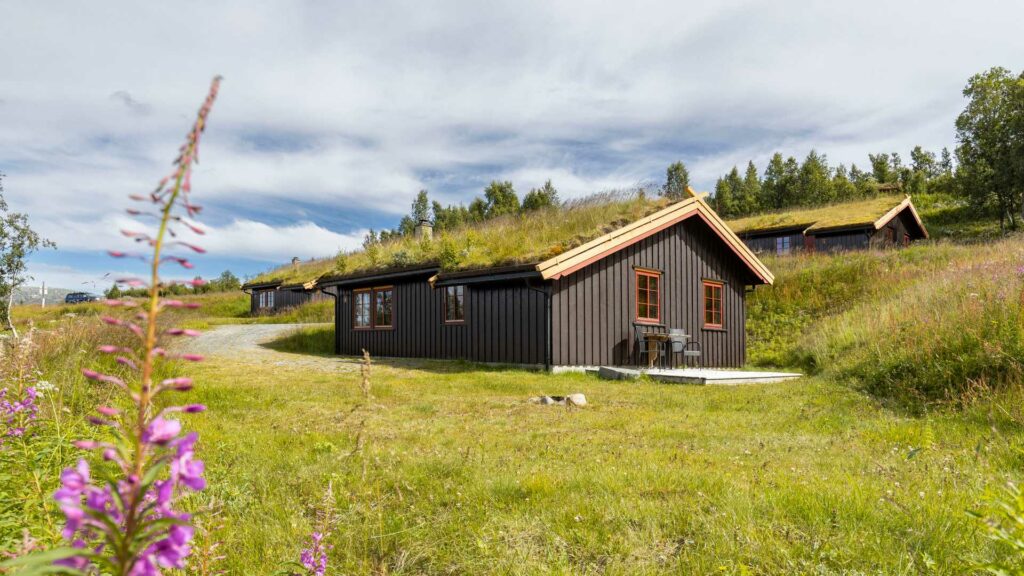 Hytte med torvtak i norsk natur, omgitt av blomster og grønt landskap under blå himmel.