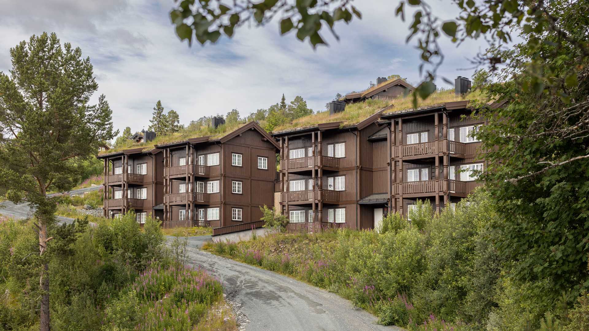 Leilighetsbygg i naturmiljø med gresskledte tak, omringet av trær og busker under blå himmel.