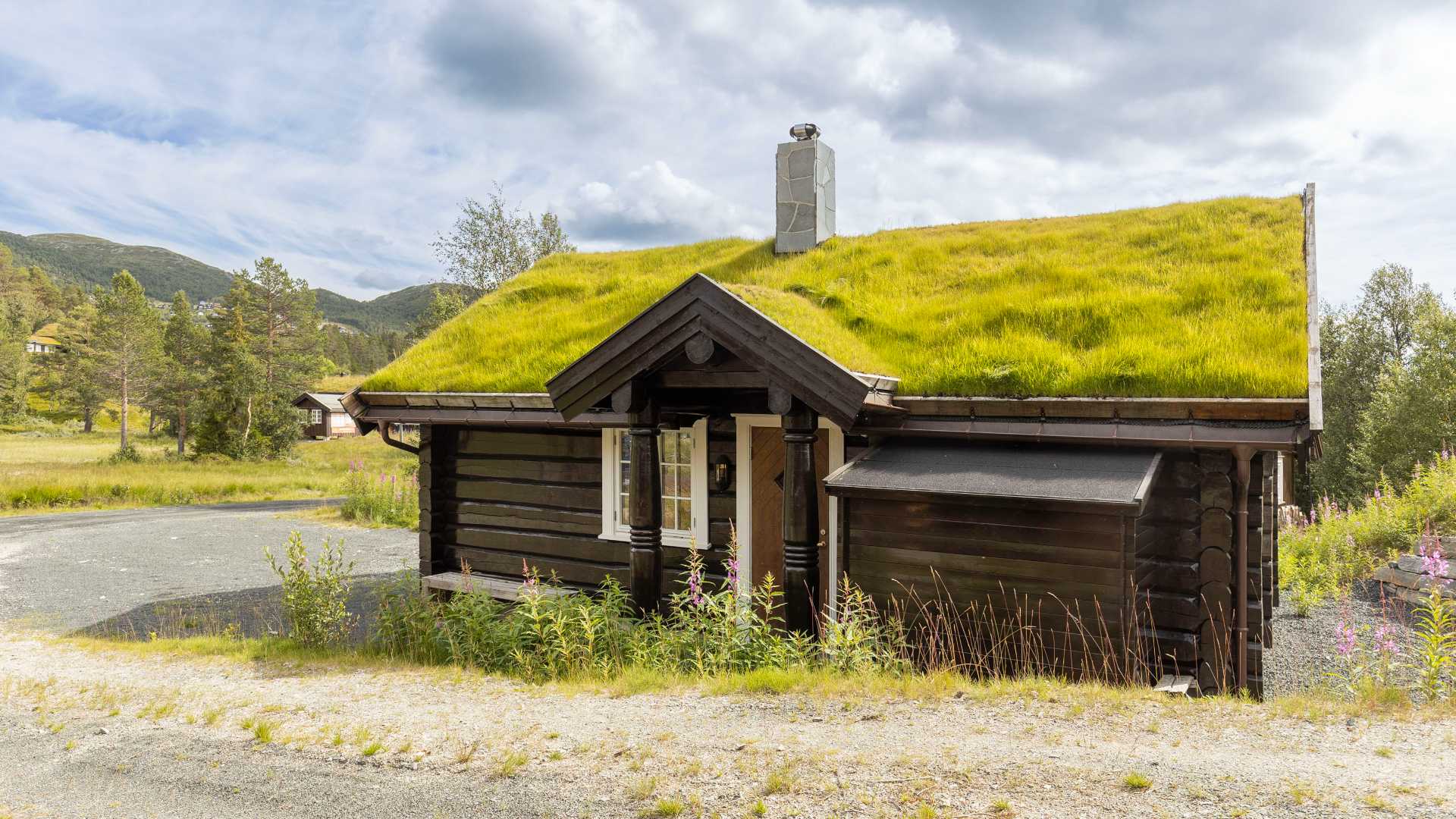 Tømmerhytte med torvtak i norsk fjellandskap, omgitt av trær og villblomster under en dramatisk himmel.