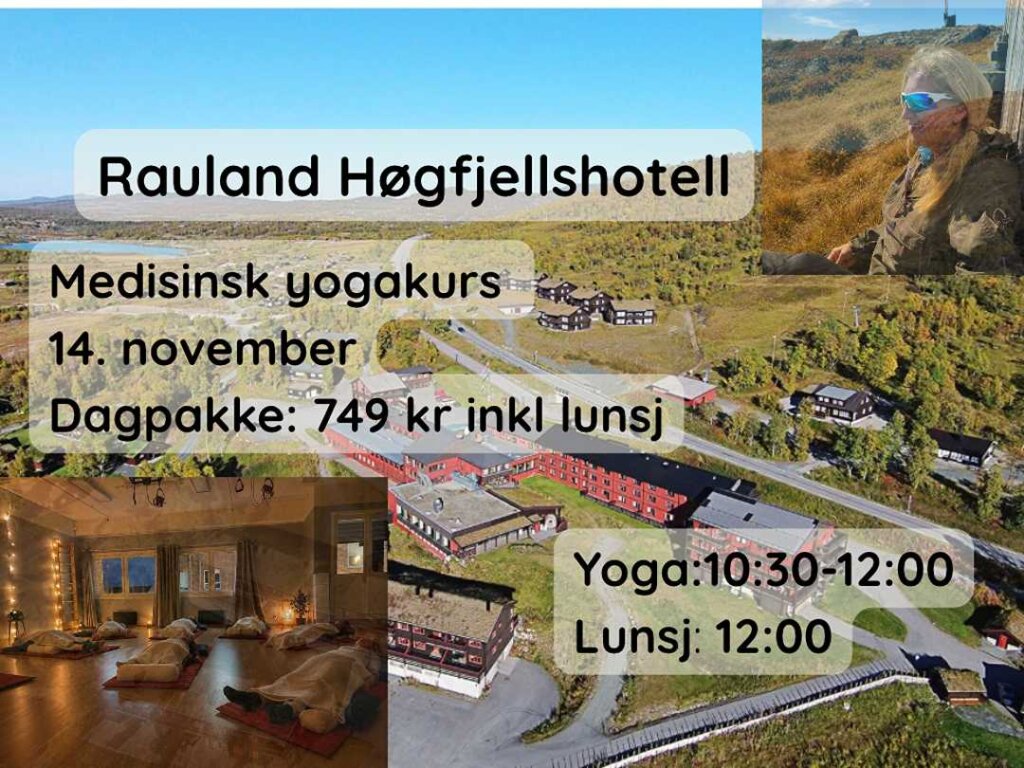 Alt-tekst: Medisinsk yogakur på Rauland Høgfjellshotell 14. november med dagpakke til 749 kr inkludert lunsj.