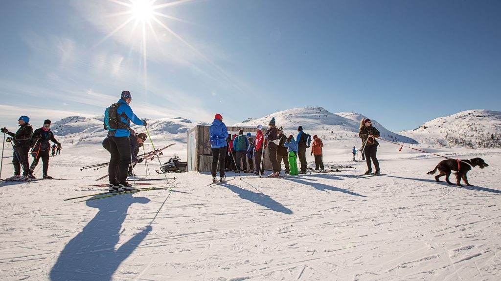 Gruppetur på ski i solfylt, snødekt fjellandskap, med mennesker og en hund i frisk vinterluft.