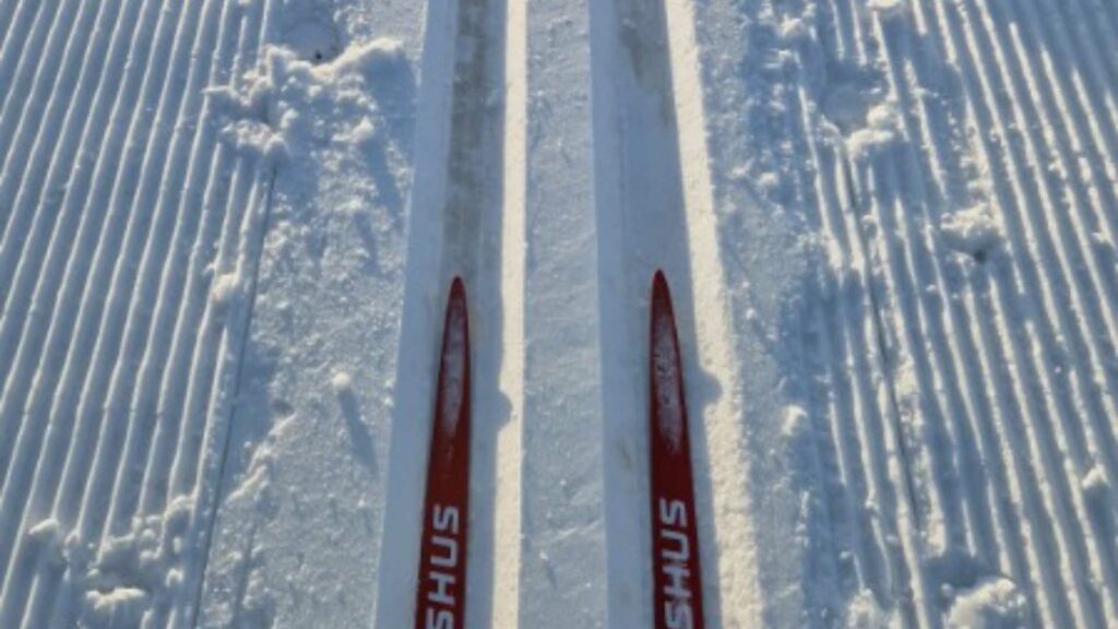 Langrennsski på preparert spor i snø. Vinterlandskap for skiaktivitet.