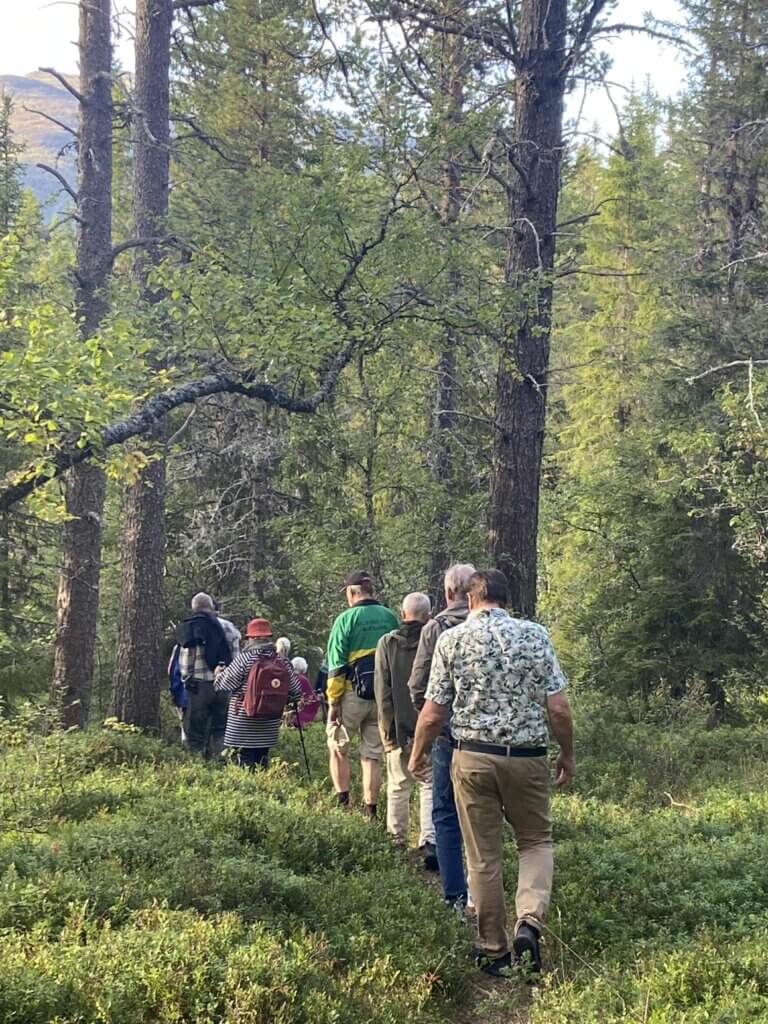 Turgruppe på skogstur ein ettermiddag dag i norsk natur.
