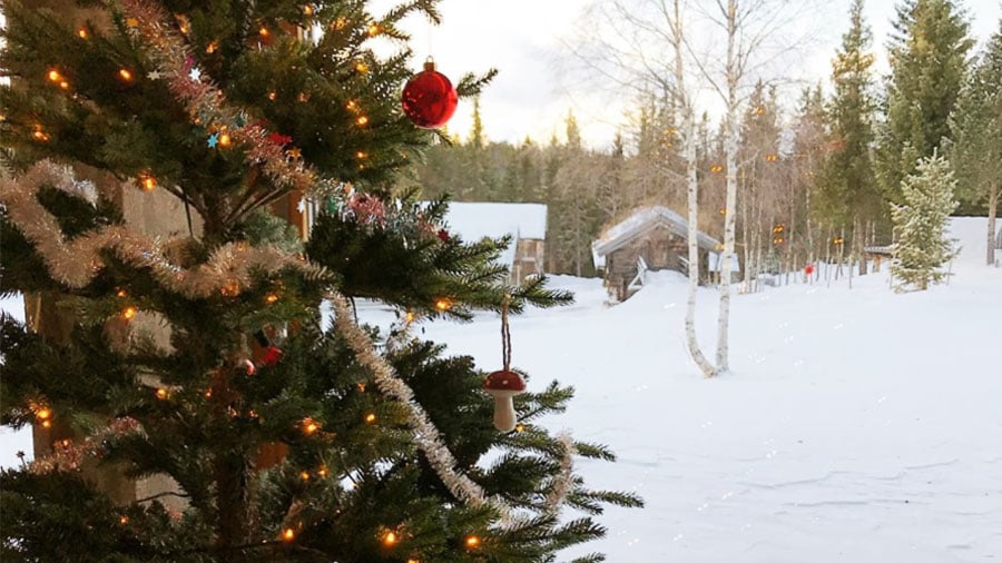Juletre pyntet med lys og kuler foran en snødekt skogshytte i vinterlandskap.