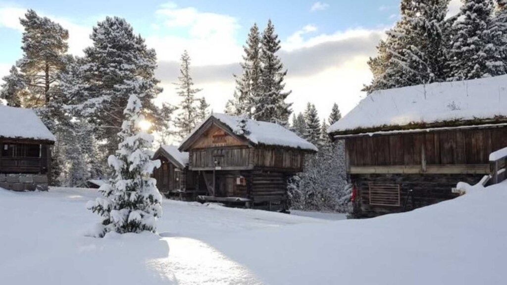 Snødekte, gamle trehus i en vinterlig skog i Norge ved soloppgang.