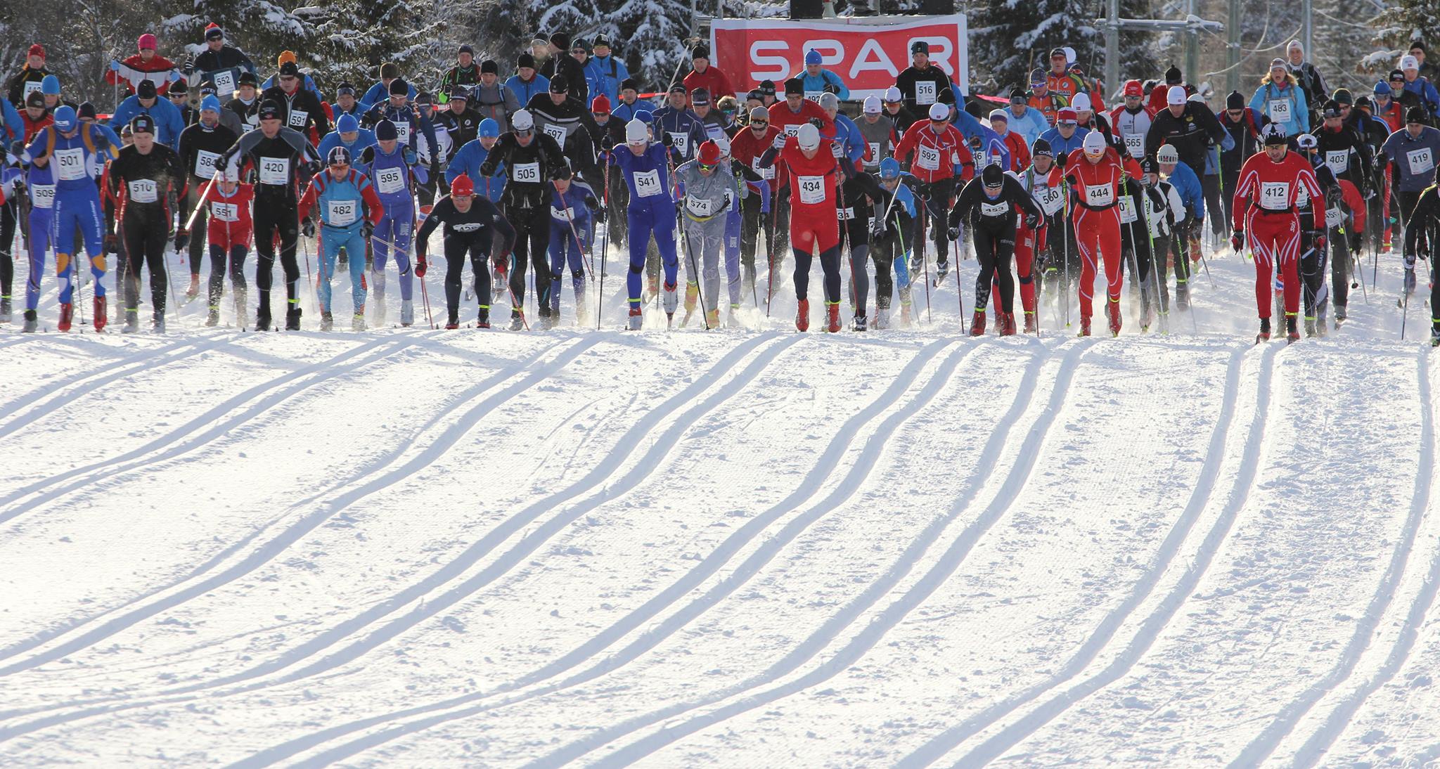 Langrennsløpere i startposisjon på en snødekt bane med trær i bakgrunnen under en konkurranse.