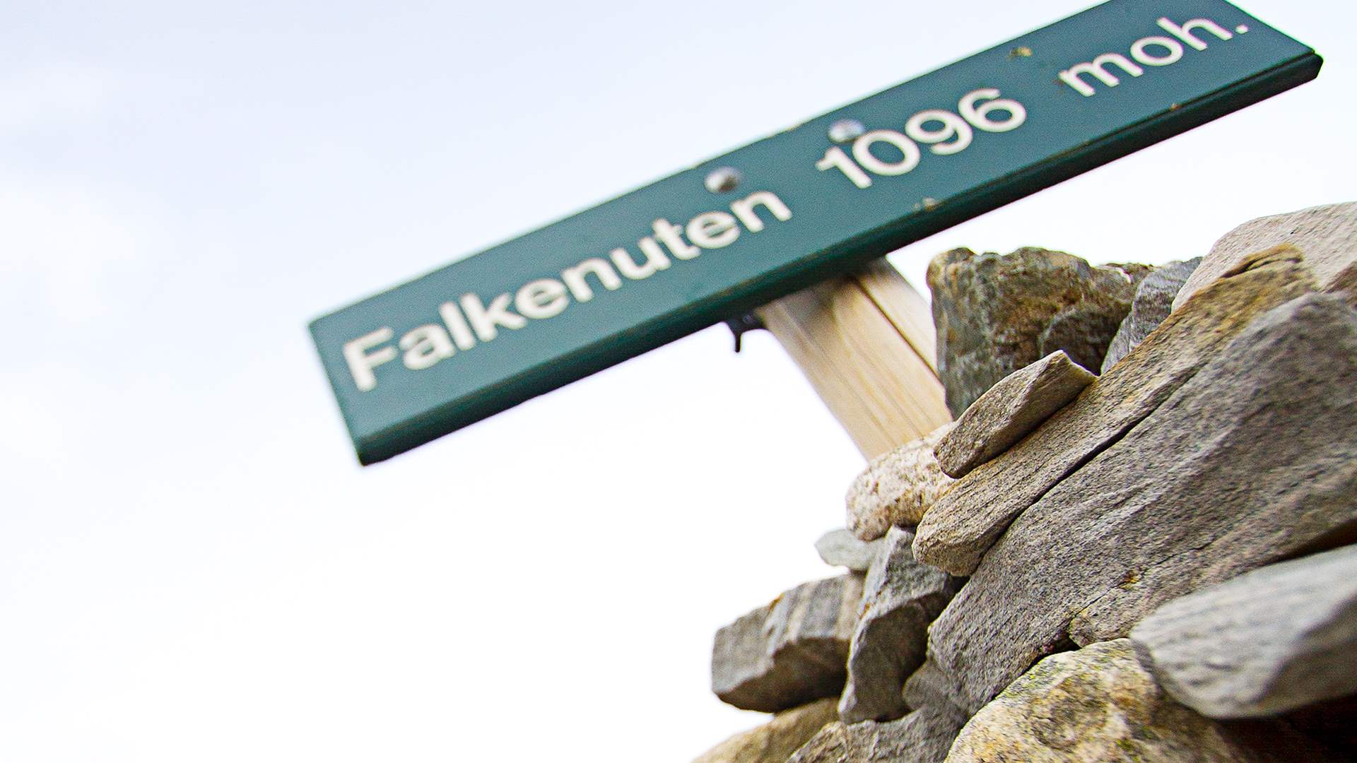 Falkenuten