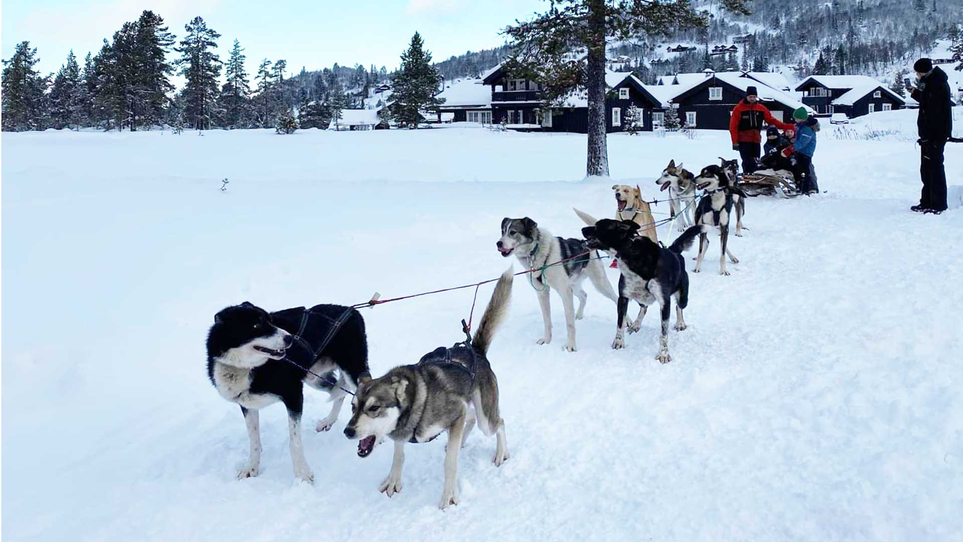 Visit Rauland - Telemarks fjelldestinasjon hele året