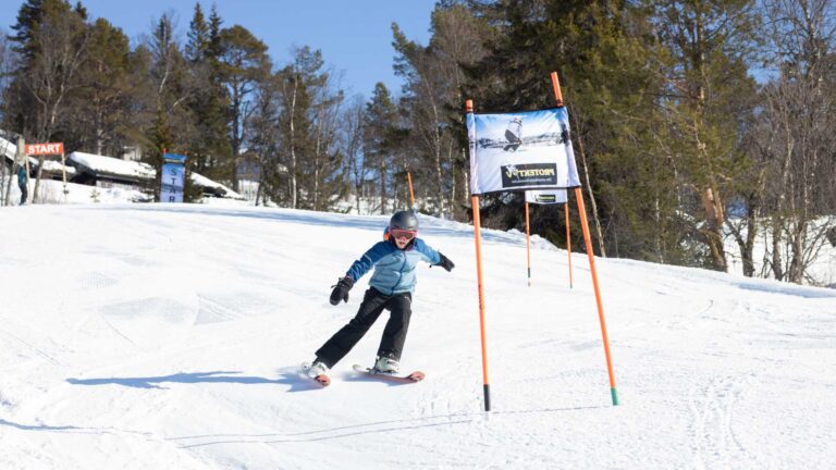 Barn som står på ski i slalåmløype på snødekket bakke, omgitt av trær.