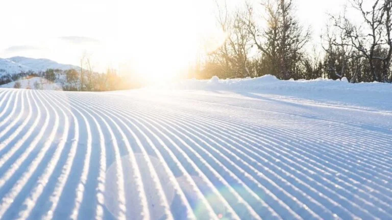 Snødekket landskap med soloppgang og trær i bakgrunnen, perfekt for vinteraktiviteter i Norge.