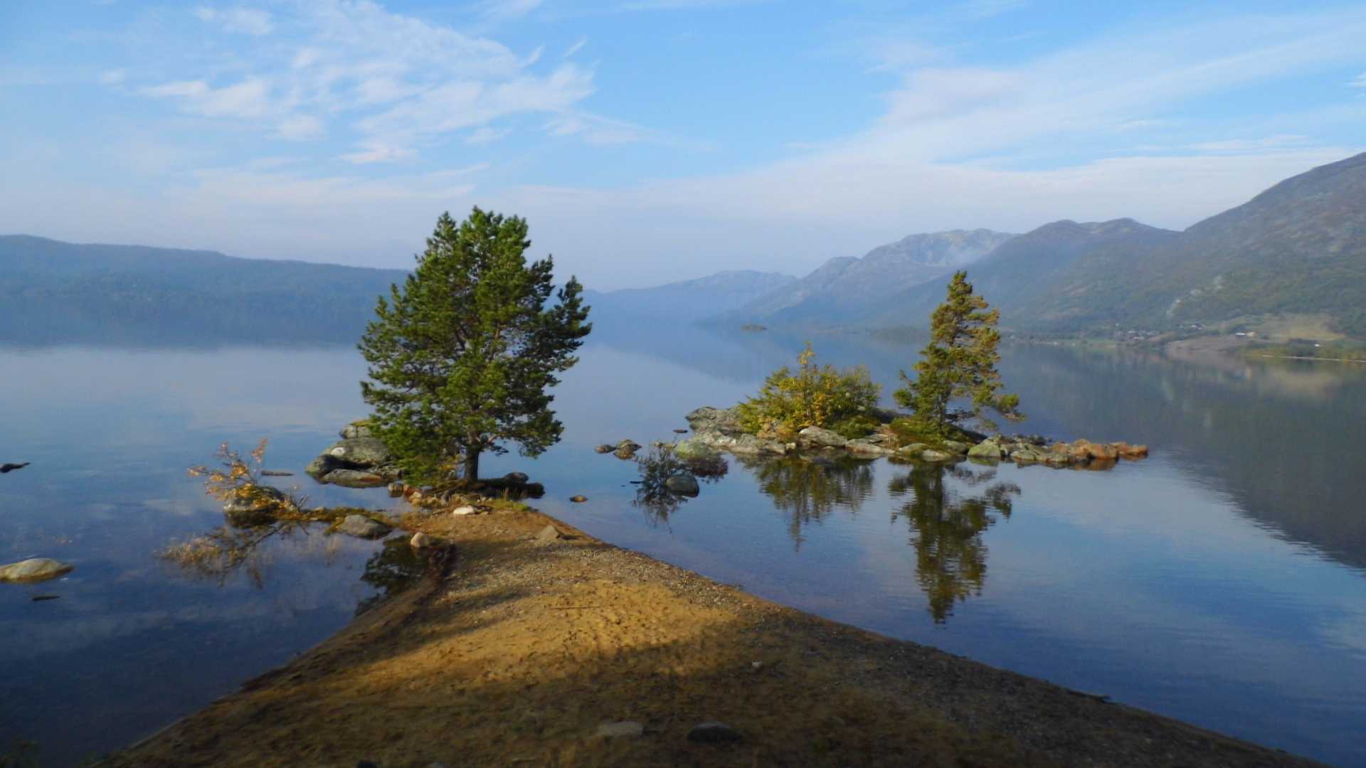 Naturskjønn utsikt over norsk fjord med trær og rolig vannspeil i solfylt vær.