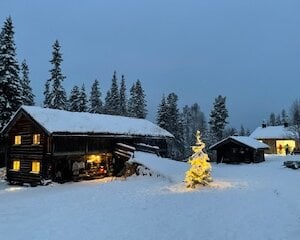 Snødekt hytte i skogen med lysende juletre foran, vinterscene i skumring.
