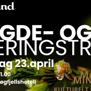 Alt-tekst: Plakat for bygde- og næringstreff i Rauland, 23. april, med informasjon om tid og sted.
