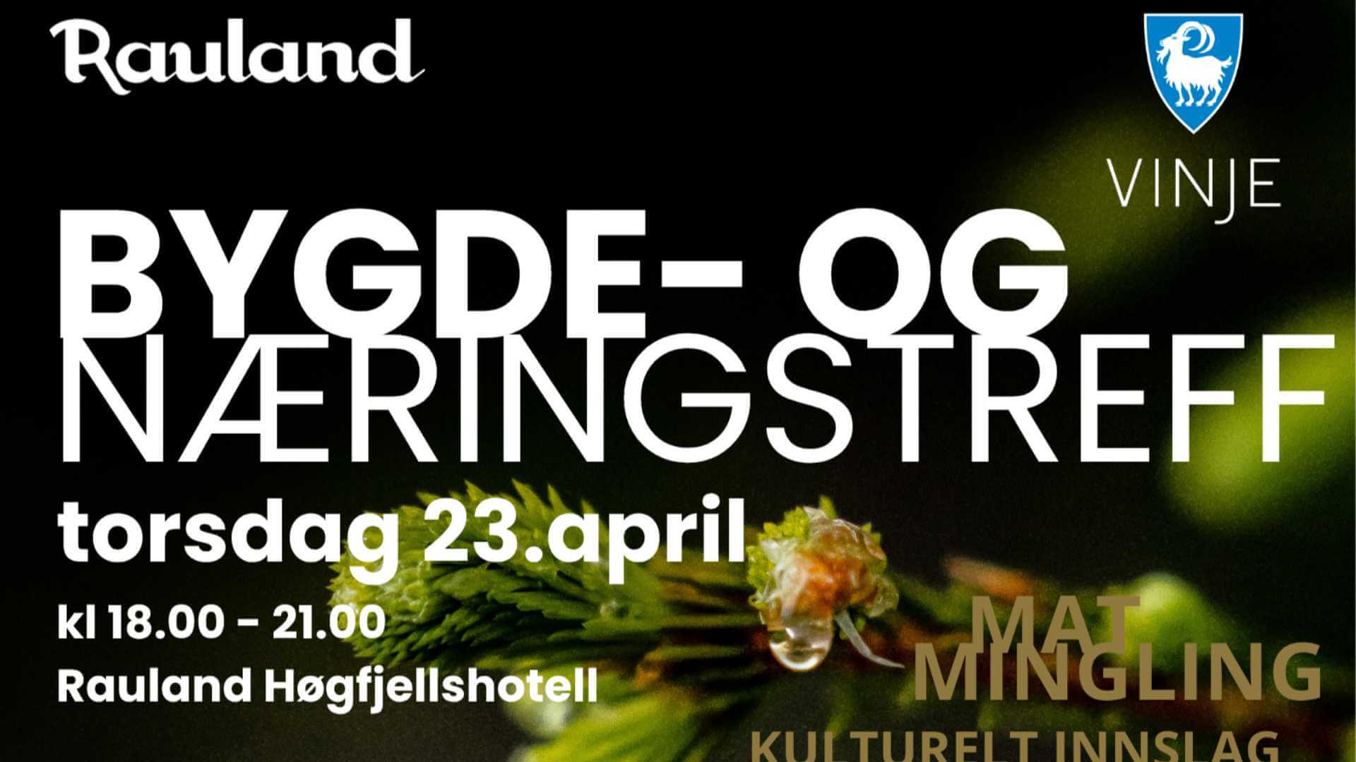 Featured image for “Bygde- og næringstreff på Rauland”