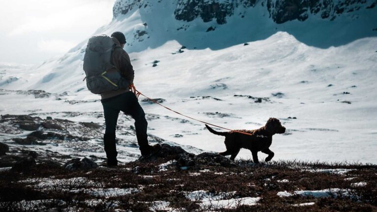 En person med ryggsekk går tur med hund i snødekt fjellandskap. Perfekt for friluftsliv og hundevennlige eventyr.