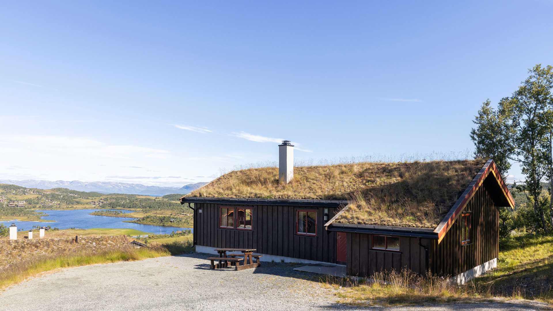Featured image for “Fjellsommer til 50%”