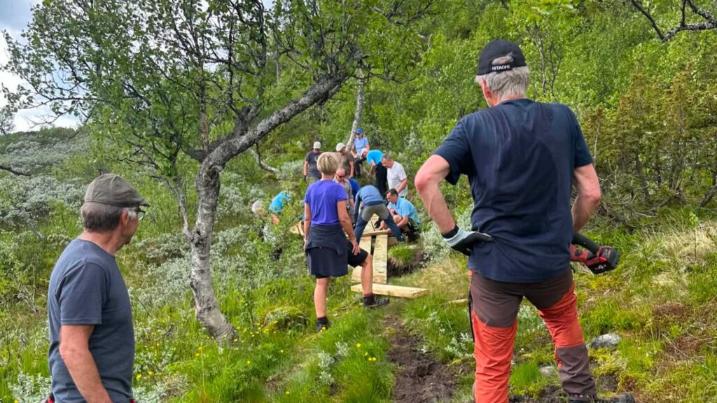 Gruppe mennesker jobber sammen for å bygge stier i naturen, omgitt av frodig vegetasjon og trær.