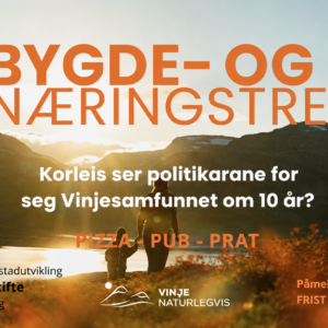 Alt-tekst: Plakat for Bygde- og næringstreff i Vinje, med fokus på lokal utvikling og politisk debatt.