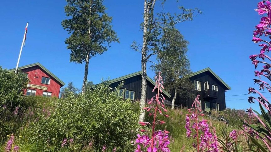 Rødt og svart hus omkranset av grønne trær og rosa blomster under en klar blå himmel i Norge.