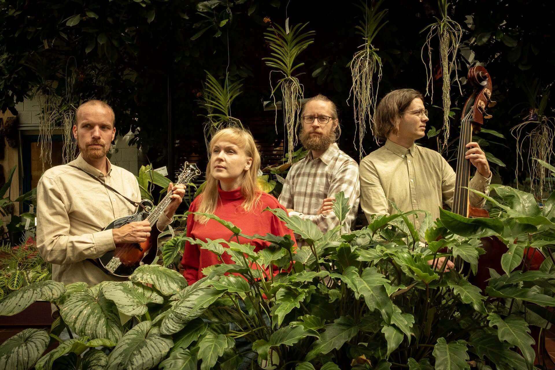 Featured image for “Konsert med Open String Department”