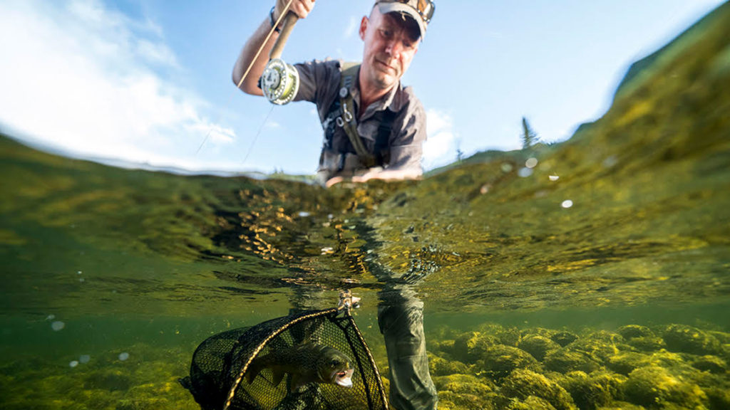 Fluefisker med fisk i nett i klart vann, sett fra undervannsperspektiv.